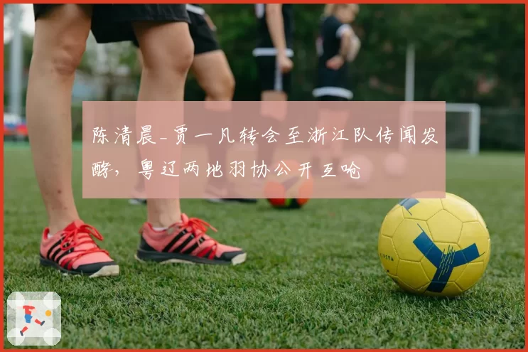 陈清晨_贾一凡转会至浙江队传闻发酵，粤辽两地羽协公开互呛