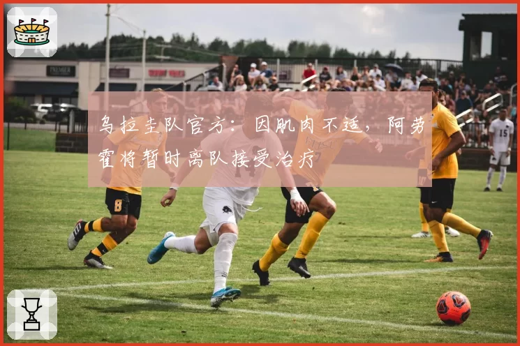乌拉圭队官方：因肌肉不适，阿劳霍将暂时离队接受治疗